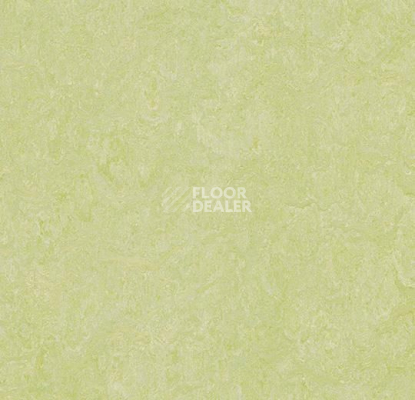 Линолеум Forbo Marmoleum Marbled Real 3881 Green Wellness фото 1 | FLOORDEALER
